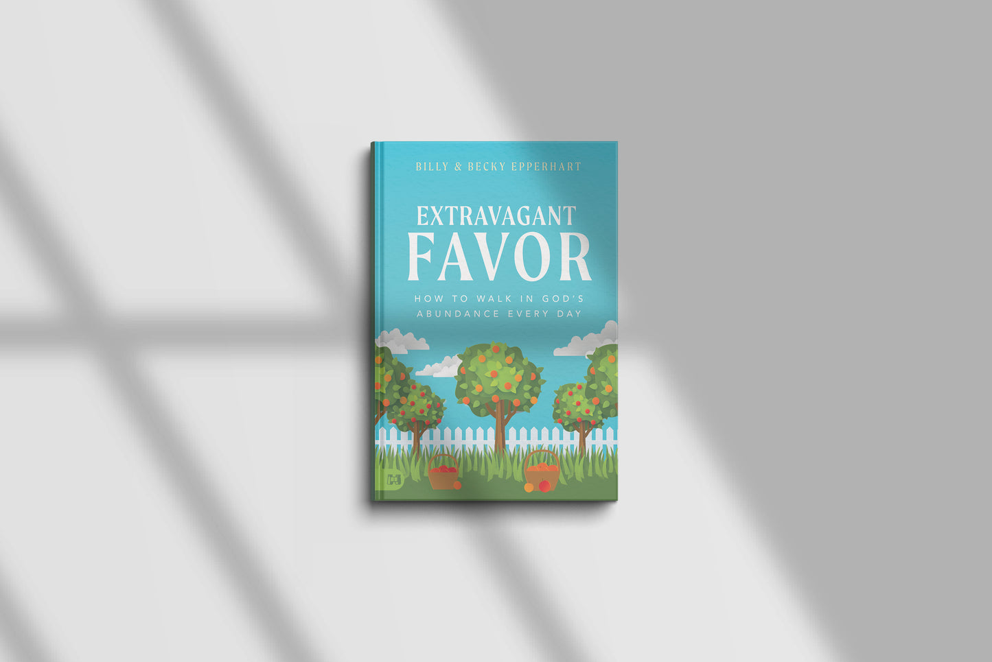 Extravagant Favor: How to Walk in God's Abundance Every Day Hard Cover
